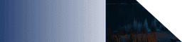 Patriot Mobile Connect | Patriot Mobile